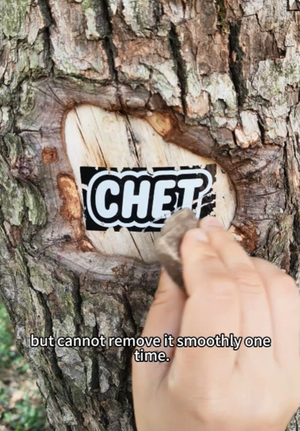 Found a tree to tests our eggshell stickers #eggshellstickers #eggshellstickersemily #streetstickers