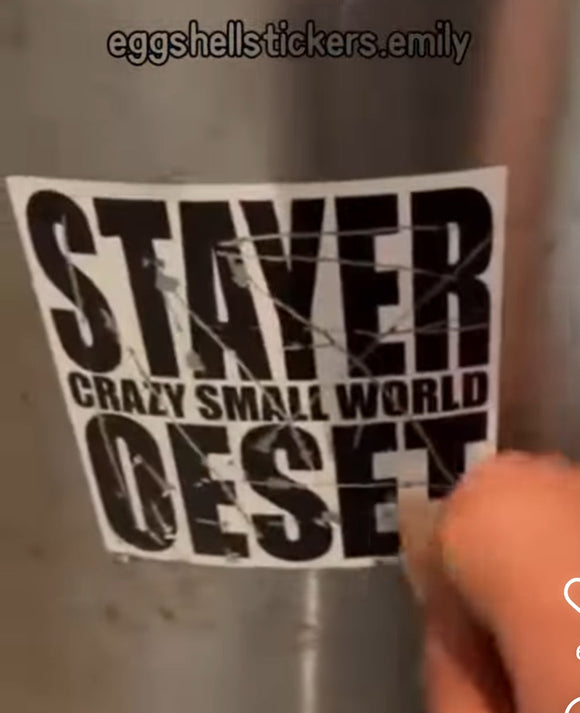 Eggshell sticker feedback from USA #eggshellstickers #eggshellstickersemily #sticker #streetart