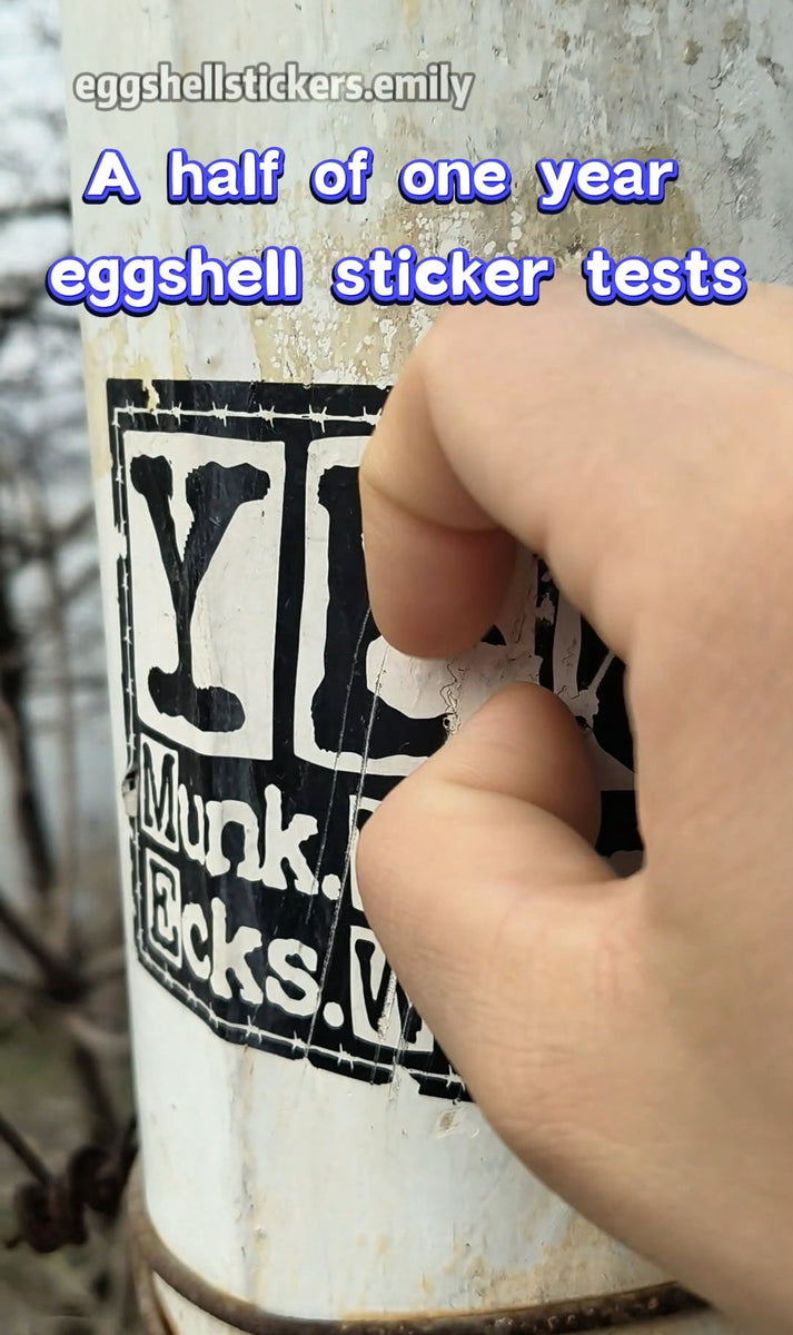 A half of a year past of eggshell sticker tests #eggshellstickers #egg ...